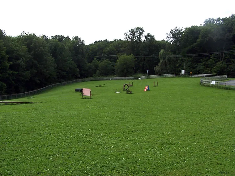 Agility Course 02