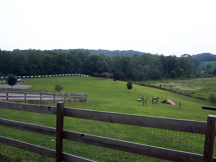 Agility Course 04