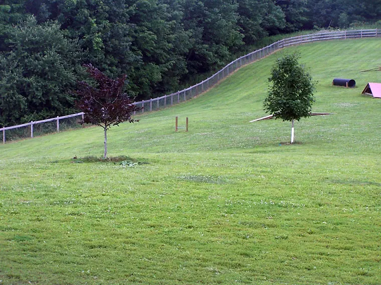 Agility Course 05