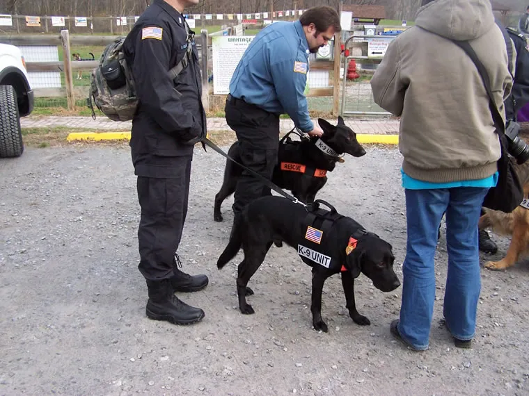A past event at Wantage Dog Park
