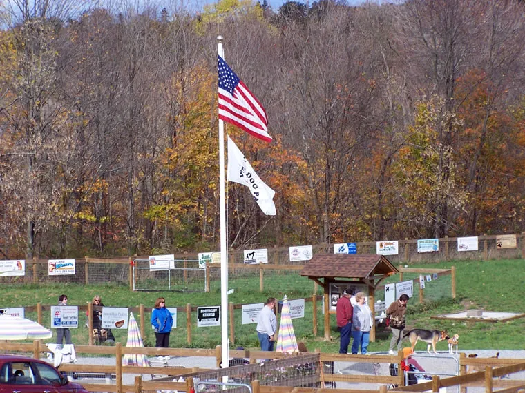 Opening Day 02