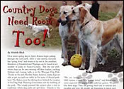 Newspaper clipping: Country Dogs Need Room Too (part 2) — Sussex County publication