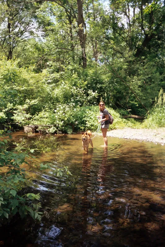 Wading Creek 01