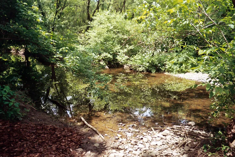 Wading Creek 02