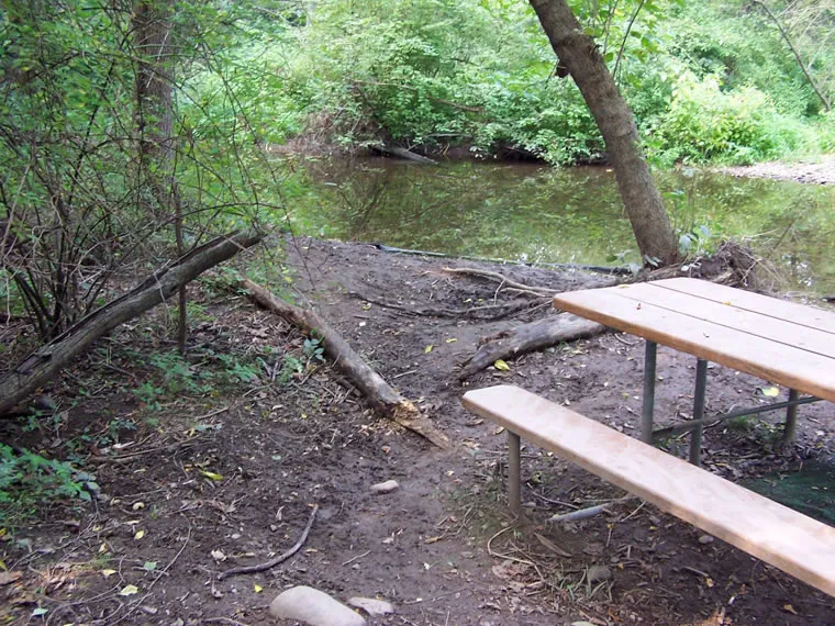 Wading Creek 03