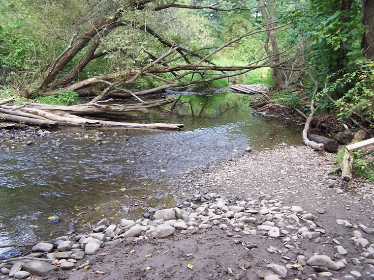 Wading Creek 04